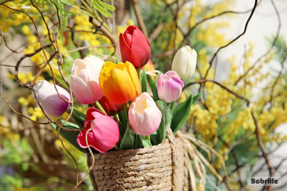 Бобруйск встречает март