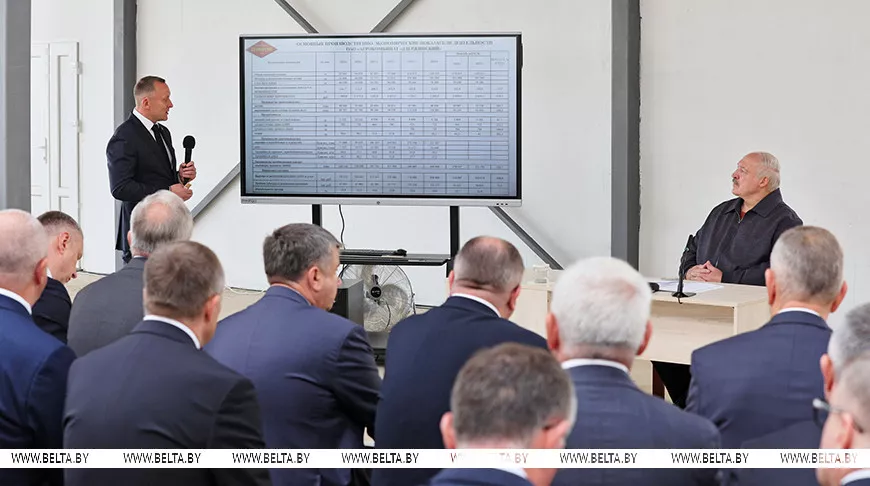У якім "палацы" павінны ўтрымліваць кароў. Аляксандр Лукашэнка аб задуме семінара-нарады ў Мінскім раёне