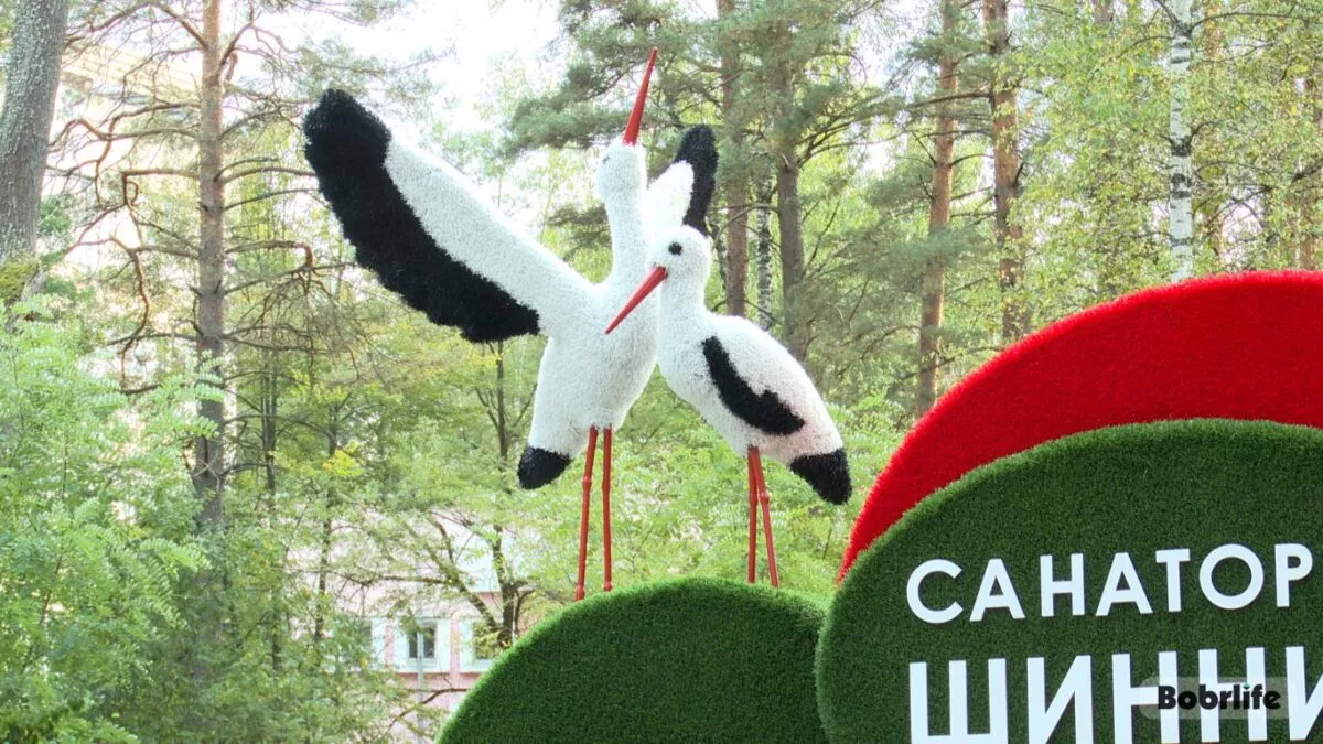 Словно живые. На территории бобруйского санатория «Шинник» установили новые арт-объекты