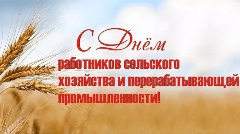 Поздравление с Днем работников сельского хозяйства и перерабатывающей промышленности агропромышленного комплекса