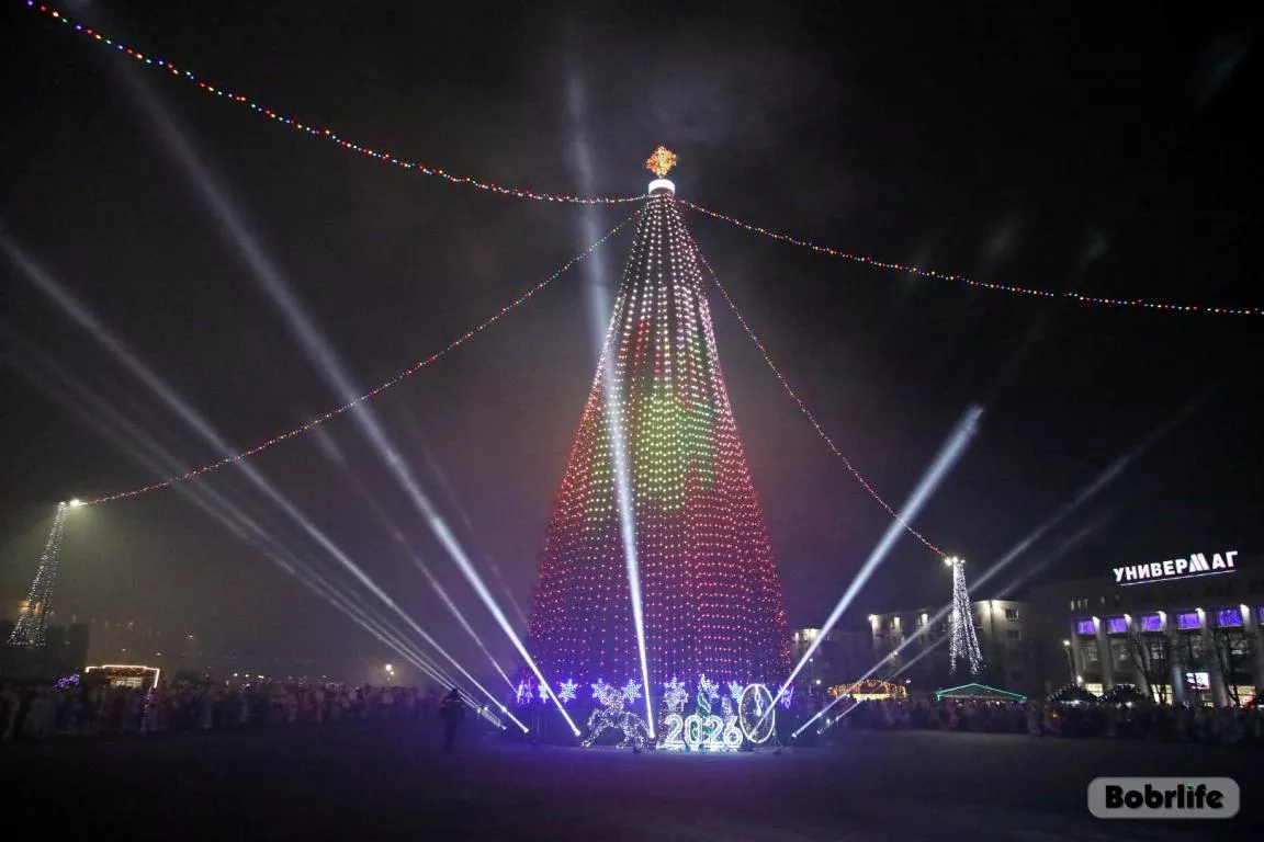 В Бобруйске проходит предрождественская и предновогодняя ярмарка