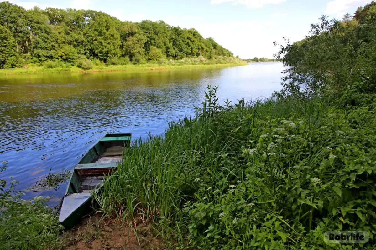 Парковка у воды: правила и ответственность