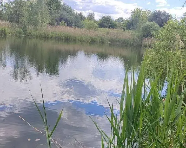 Ушел и не вернулся. В Бобруйске утонул человек