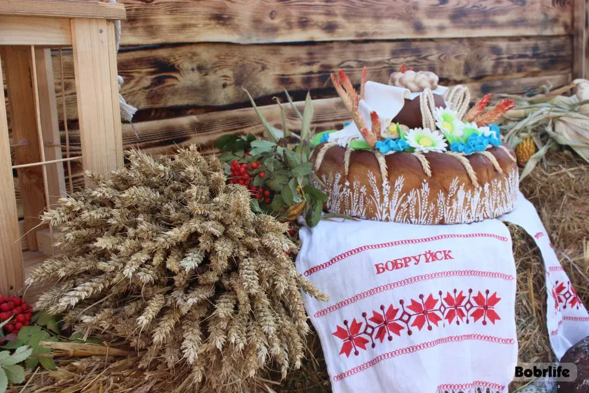 Семь тысяч комбайнов готовы к жатве в Беларуси