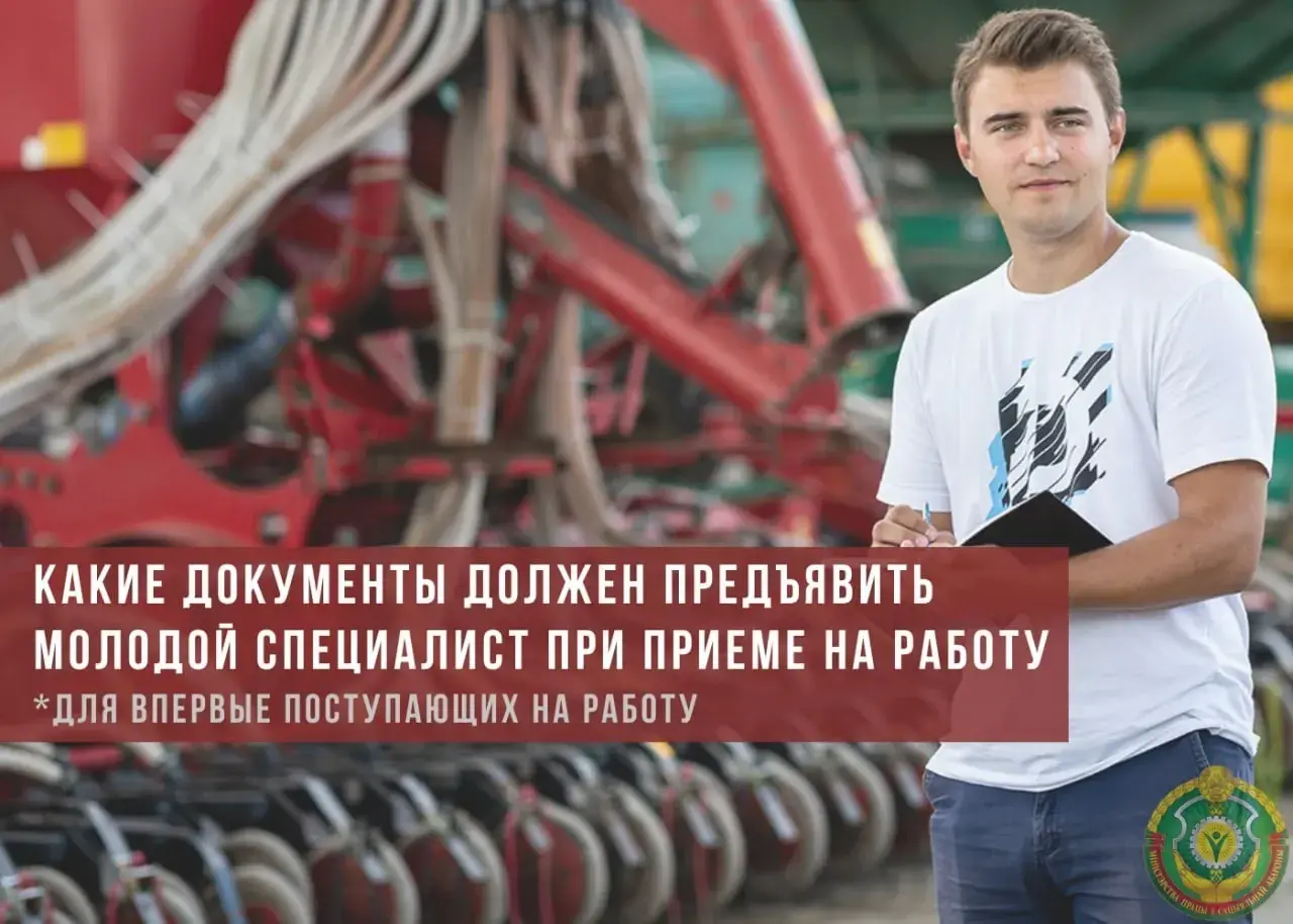 Приступаем к работе: какие документы должен предъявить молодой специалист