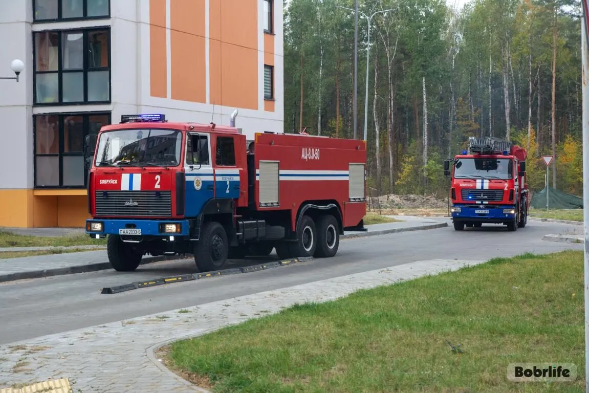 Информация от МЧС. Оперативная обстановка в Могилевской области за прошедшие сутки