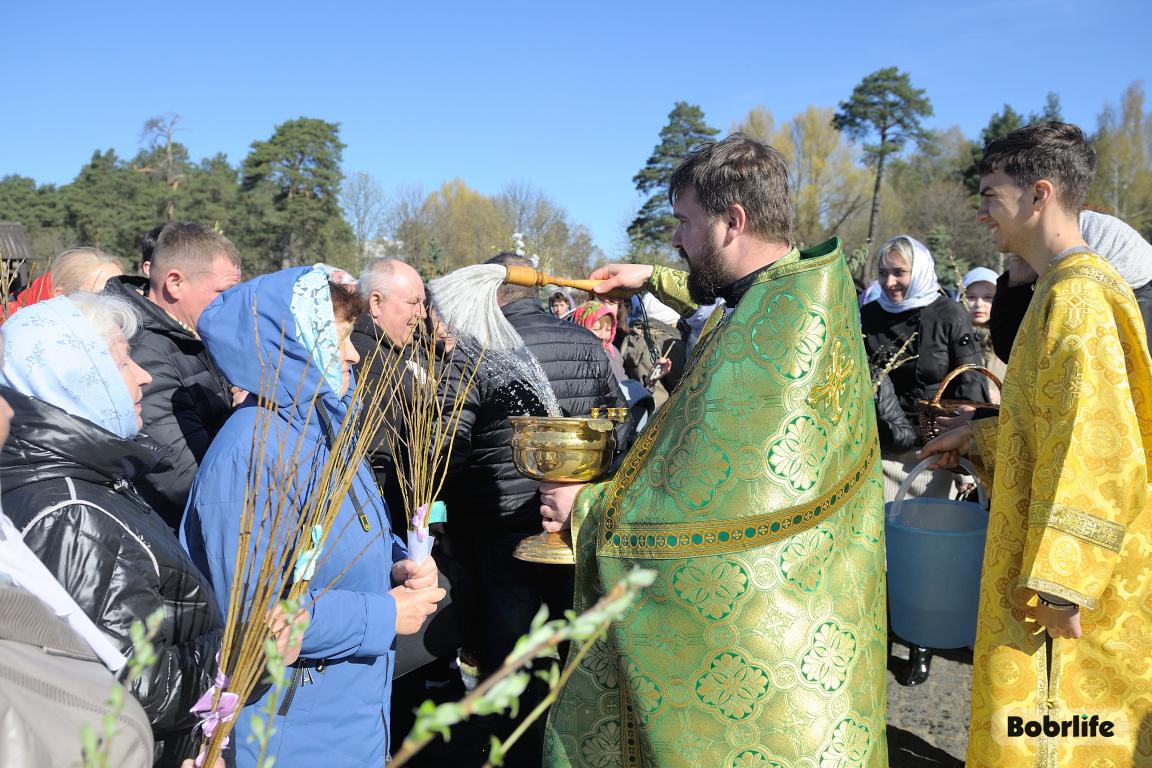 Православные верующие отпраздновали Вербное воскресенье